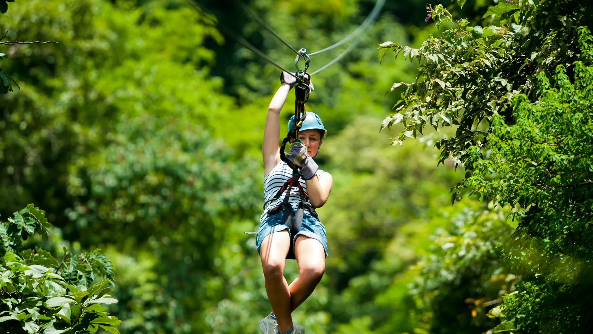 Person zip-lining through lush green forest, wearing helmet and gloves, surrounded by dense foliage.
